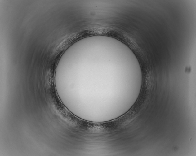 X0000115080594200911171156