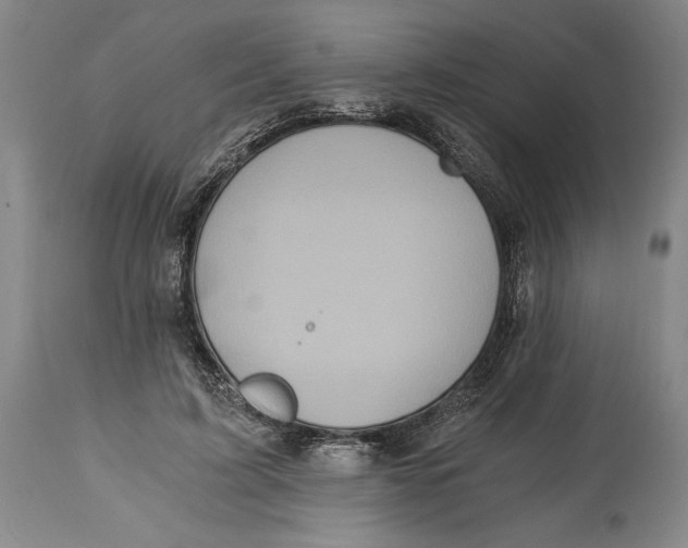 X0000115080595200911171156