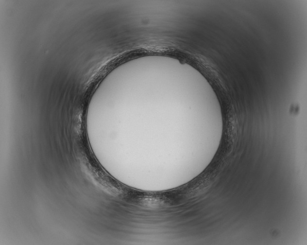 X0000115080596200911171156