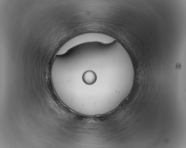 X0000115080597200911171155