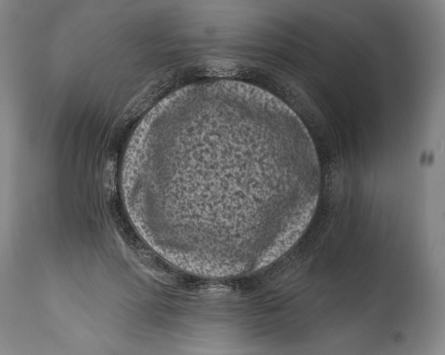 X0000115080598200911171155