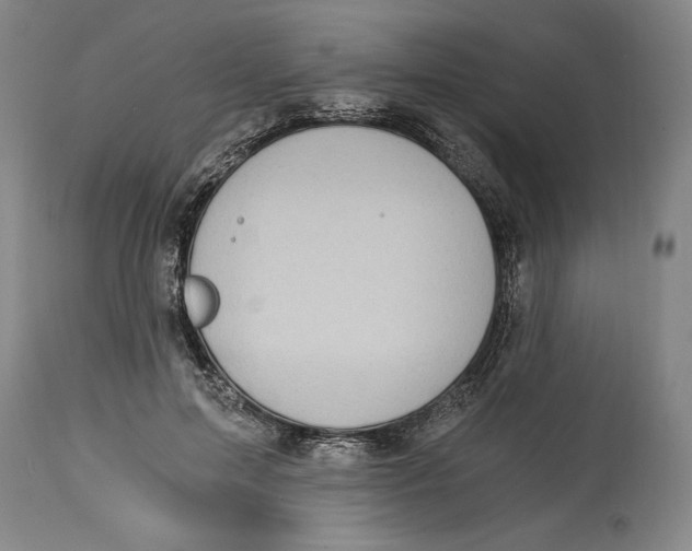 X0000115080599200911171155