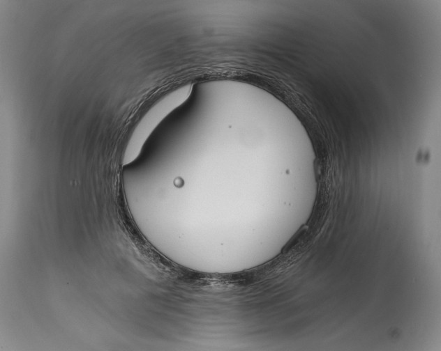 X0000115080601200911171155