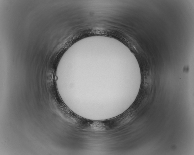 X0000115080603200911171155