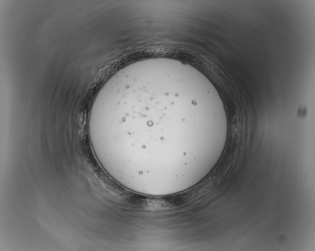 X0000115080605200911171155