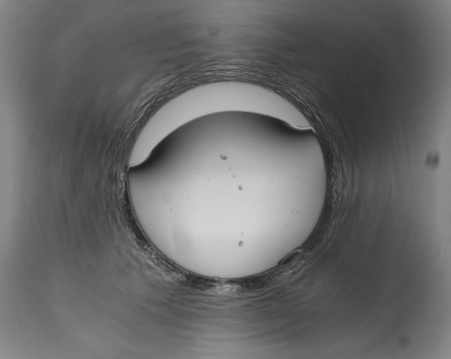 X0000115080609200911171155