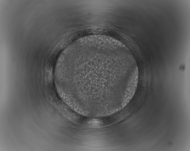 X0000115080610200911171155