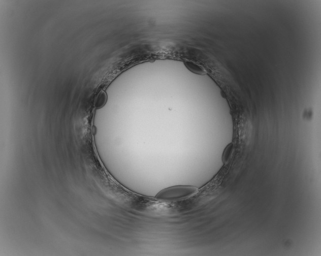X0000115080611200911171155