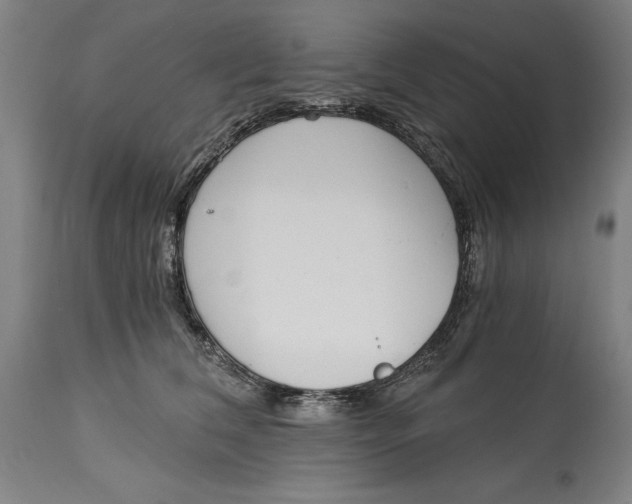 X0000115080612200911171155