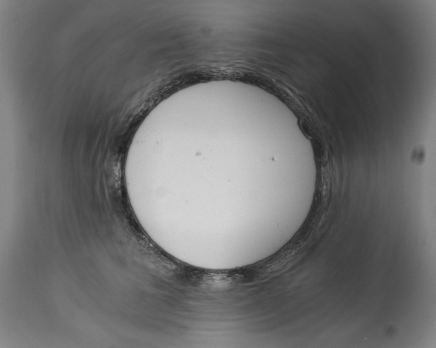 X0000115080613200911171155
