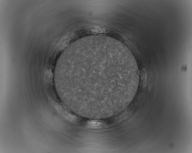 X0000115080614200911171155