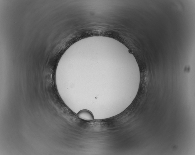 X0000115080615200911171155
