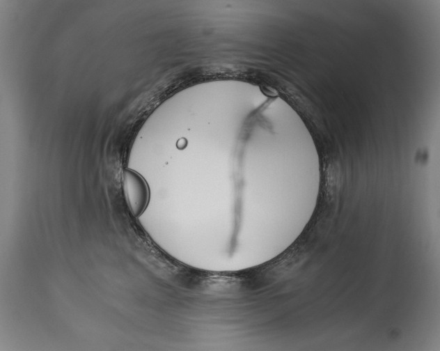 X0000115080617200911171155
