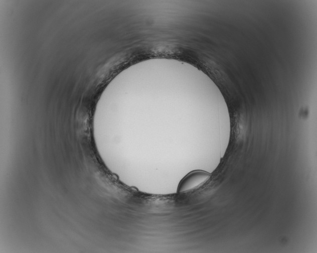X0000115080619200911171155