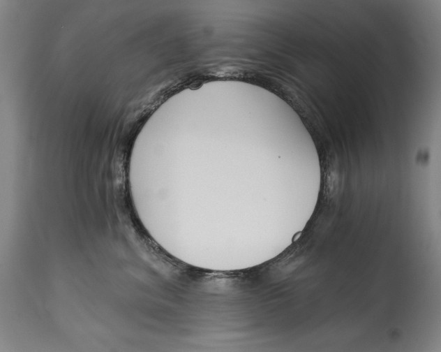 X0000115080620200911171155