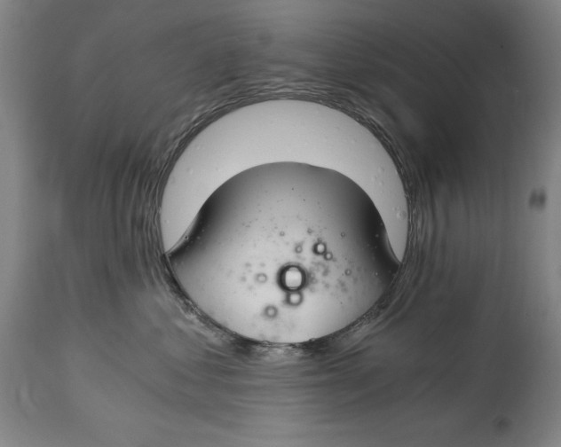 X0000115080621200911171155