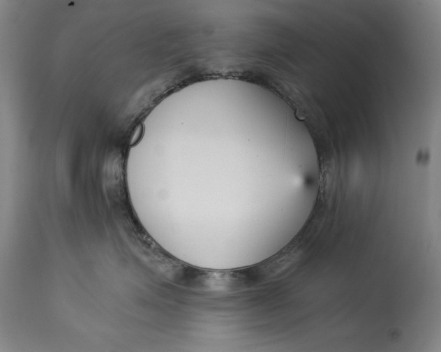 X0000115080623200911171155