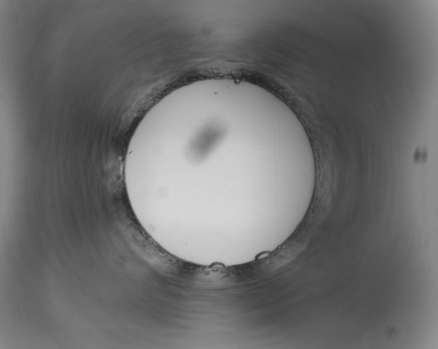 X0000115080624200911171155