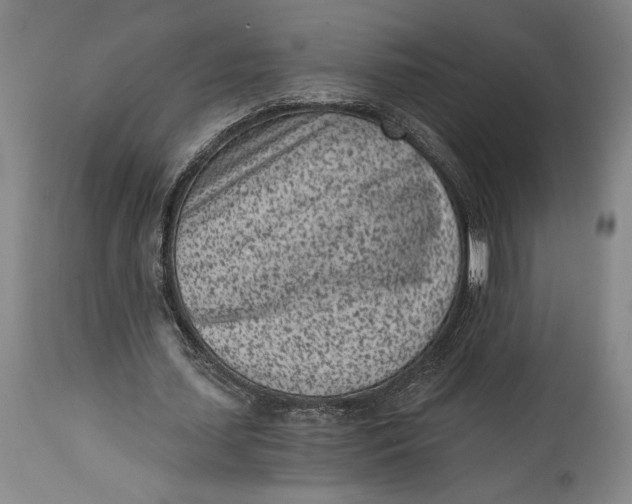 X0000115080627200911171154