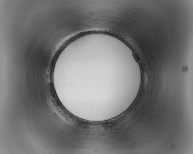 X0000115080628200911171154