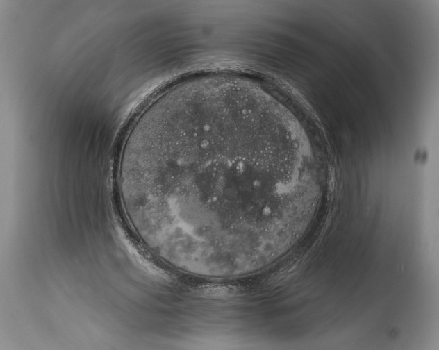 X0000115080629200911171154