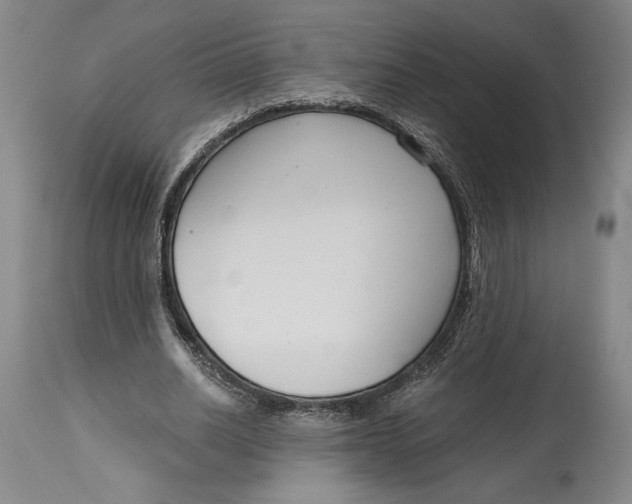 X0000115080630200911171154