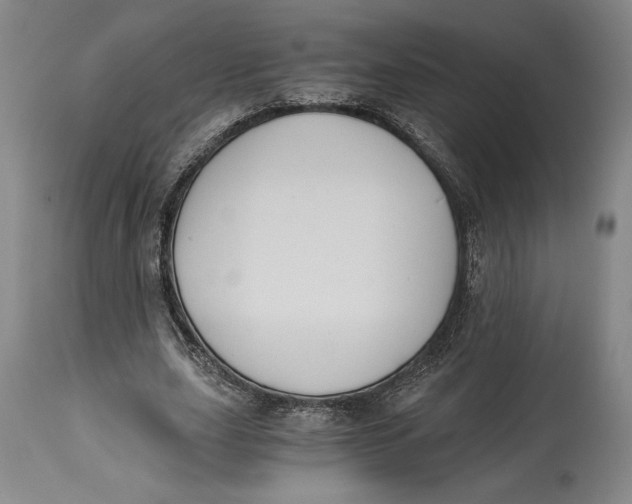 X0000115080631200911171154