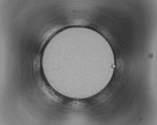 X0000115080632200911171154