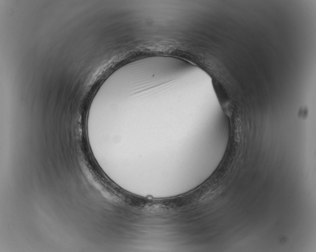 X0000115080634200911171154