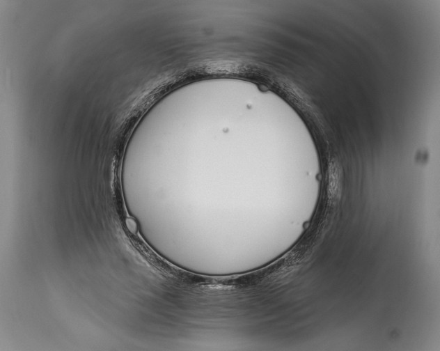 X0000115080637200911171154