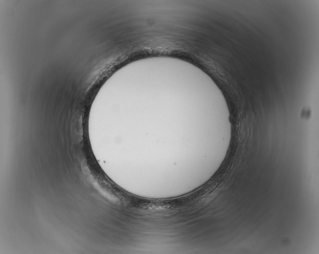 X0000115080638200911171154