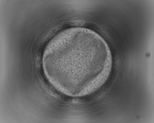 X0000115080641200911171155