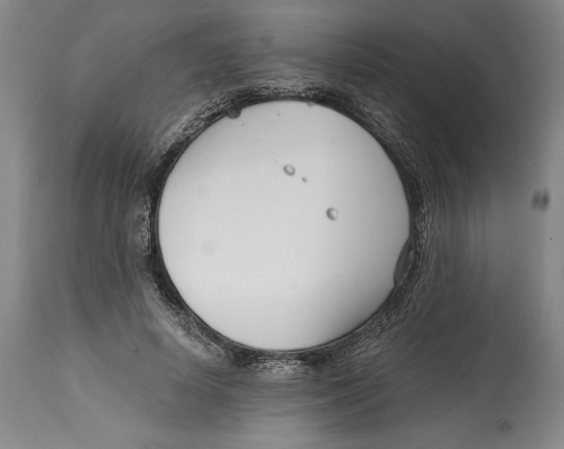 X0000115080642200911171155