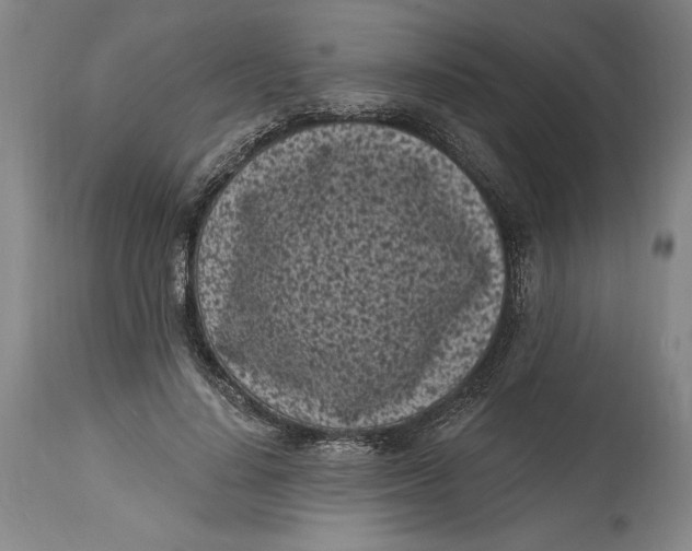 X0000115080644200911171155