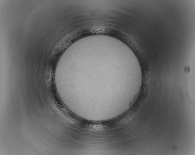 X0000115080645200911171155