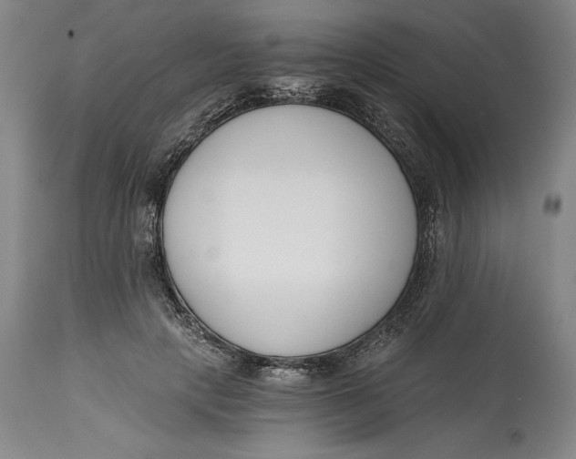 X0000115080649200911171155