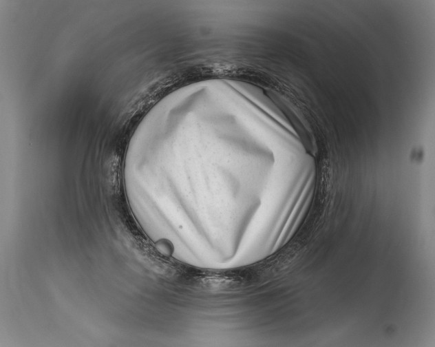 X0000115080650200911171155
