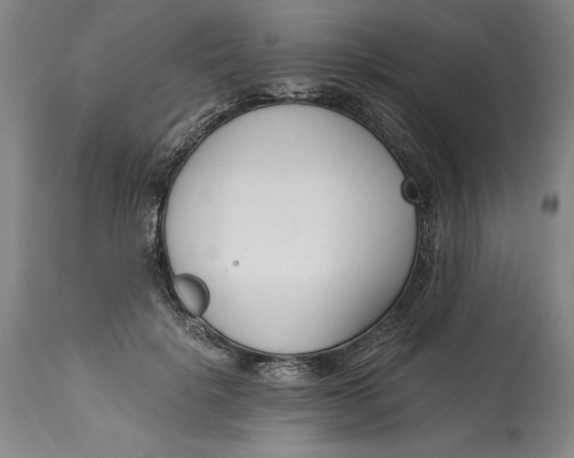 X0000115080652200911171155