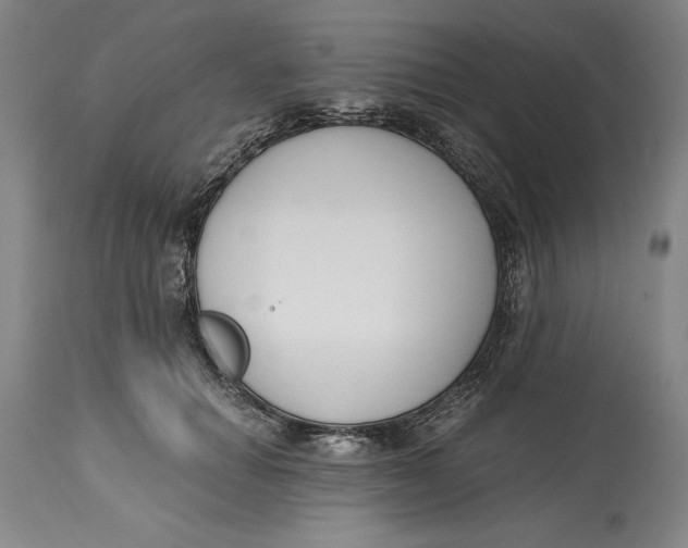 X0000115080654200911171155
