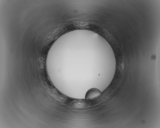 X0000115080658200911171155