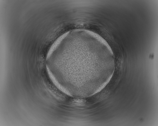 X0000115080659200911171155