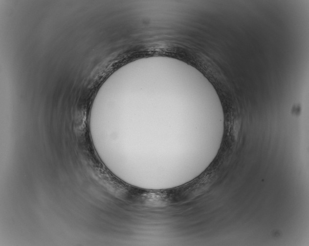 X0000115080660200911171155