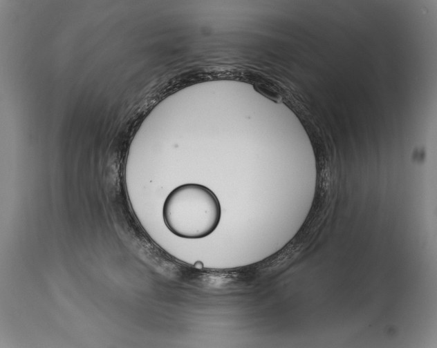 X0000115080662200911171155