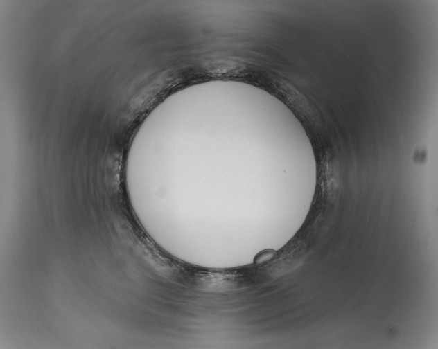 X0000115080664200911171155