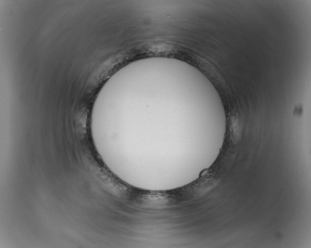 X0000115080668200911171155