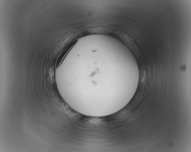 X0000115080669200911171155