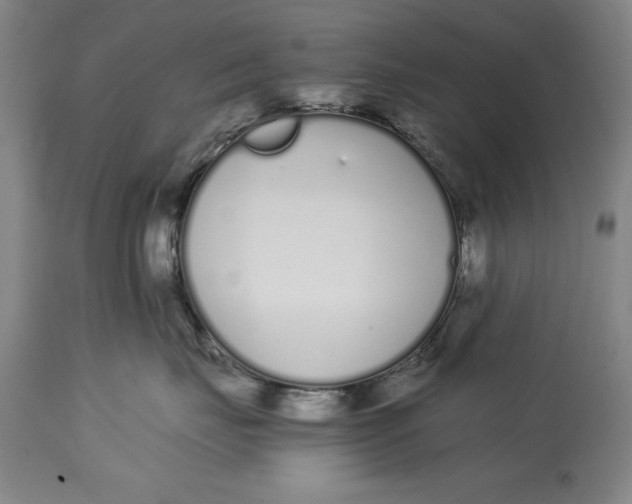 X0000115080671200911171155