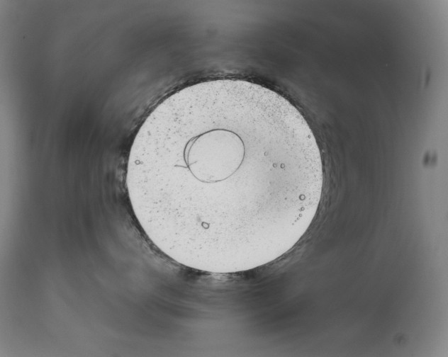 X0000115080672200911171155