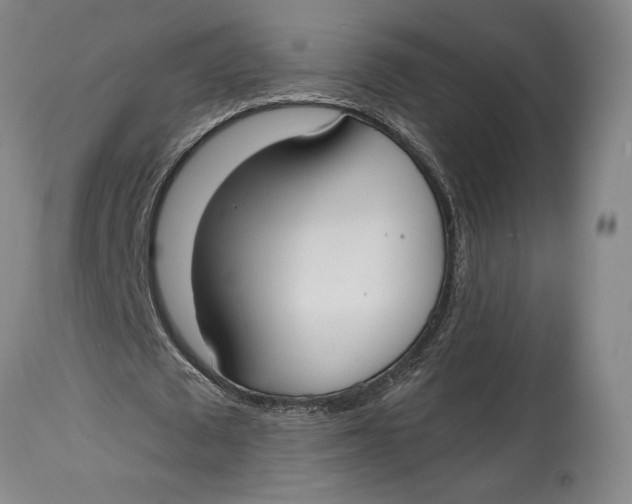 X0000115080673200911171154
