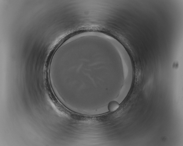 X0000115080674200911171154
